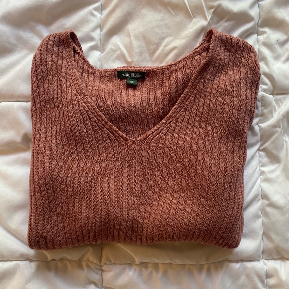Wildfable Sweater